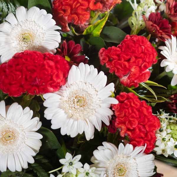 לה ולי פרחים - אדום לבן - משלוחי פרחים בחיפה