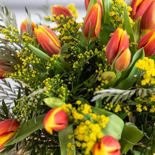 לה ולי פרחים - טוליפים הולנדים - משלוחי פרחים בחיפה