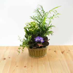 קוקטייל רומי