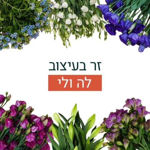 זר בעיצוב לה ולי
